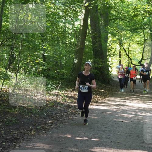 22.09.2024 - 32. Volkslauf durch das schöne Alstertal Miley Keyser http://msf.ph/oto/7134956 22.09.2024 10:51:26 Laufen 3333 meine-sportfotos.de