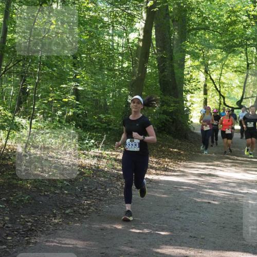 22.09.2024 - 32. Volkslauf durch das schöne Alstertal Miley Keyser http://msf.ph/oto/7134957 22.09.2024 10:51:26 Laufen 3333, 3266 meine-sportfotos.de