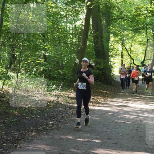 22.09.2024 - 32. Volkslauf durch das schöne Alstertal Miley Keyser http://msf.ph/oto/7134960 22.09.2024 10:51:26 Laufen 3333 meine-sportfotos.de