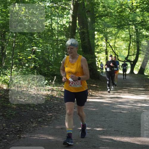 22.09.2024 - 32. Volkslauf durch das schöne Alstertal Miley Keyser http://msf.ph/oto/7134980 22.09.2024 10:51:16 Laufen 2208 meine-sportfotos.de