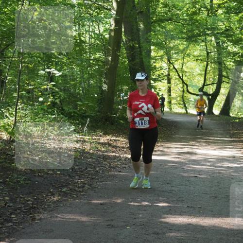 22.09.2024 - 32. Volkslauf durch das schöne Alstertal Miley Keyser http://msf.ph/oto/7134990 22.09.2024 10:51:07 Laufen 3118 meine-sportfotos.de