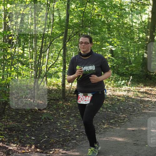 22.09.2024 - 32. Volkslauf durch das schöne Alstertal Miley Keyser http://msf.ph/oto/7134994 22.09.2024 10:51:04 Laufen 2014, 2046 meine-sportfotos.de