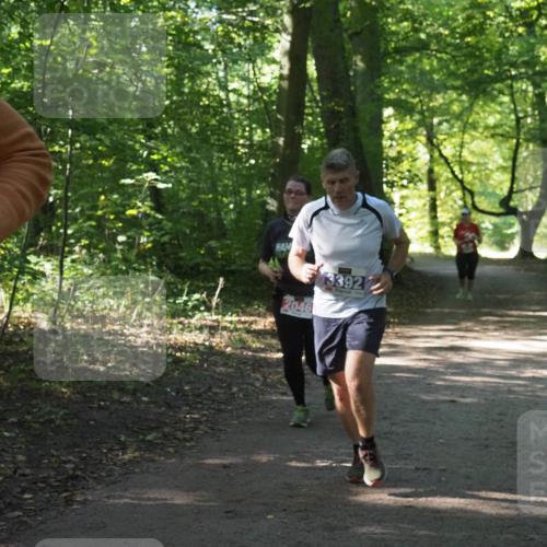 22.09.2024 - 32. Volkslauf durch das schöne Alstertal Miley Keyser http://msf.ph/oto/7134998 22.09.2024 10:51:02 Laufen 2046, 3392 meine-sportfotos.de