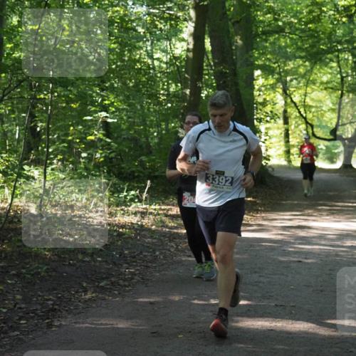 22.09.2024 - 32. Volkslauf durch das schöne Alstertal Miley Keyser http://msf.ph/oto/7135000 22.09.2024 10:51:02 Laufen 204, 3392 meine-sportfotos.de