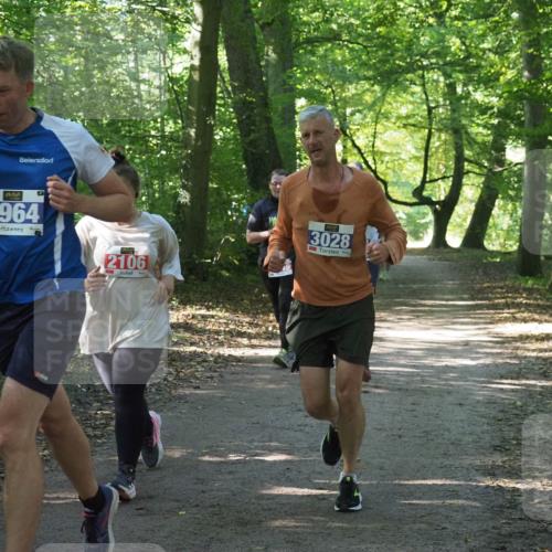 22.09.2024 - 32. Volkslauf durch das schöne Alstertal Miley Keyser http://msf.ph/oto/7135002 22.09.2024 10:51:01 Laufen 3964, 2106, 3028 meine-sportfotos.de