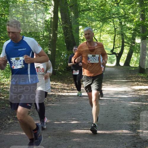 22.09.2024 - 32. Volkslauf durch das schöne Alstertal Miley Keyser http://msf.ph/oto/7135003 22.09.2024 10:51:01 Laufen 3964, 106, 2046, 3028 meine-sportfotos.de