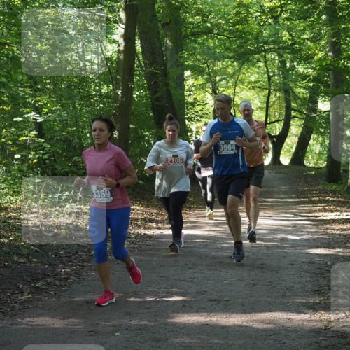 22.09.2024 - 32. Volkslauf durch das schöne Alstertal Miley Keyser http://msf.ph/oto/7135009 22.09.2024 10:50:59 Laufen 3359, 2106, 3964 meine-sportfotos.de