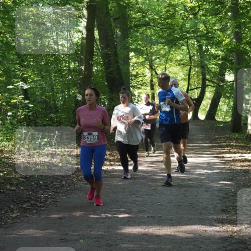 22.09.2024 - 32. Volkslauf durch das schöne Alstertal Miley Keyser http://msf.ph/oto/7135012 22.09.2024 10:50:59 Laufen 3359, 2046, 3964 meine-sportfotos.de