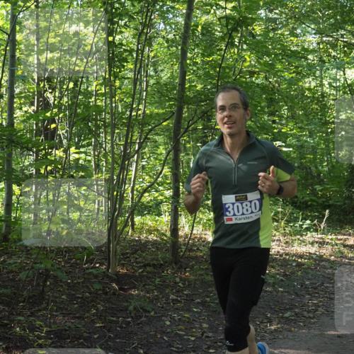 22.09.2024 - 32. Volkslauf durch das schöne Alstertal Miley Keyser http://msf.ph/oto/7135018 22.09.2024 10:50:51 Laufen 3080 meine-sportfotos.de