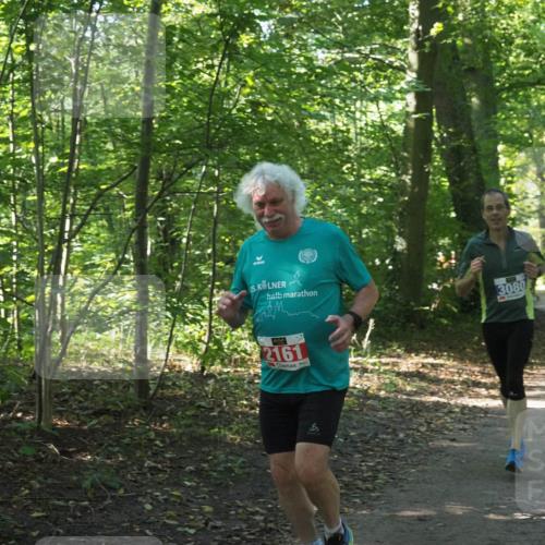 22.09.2024 - 32. Volkslauf durch das schöne Alstertal Miley Keyser http://msf.ph/oto/7135024 22.09.2024 10:50:50 Laufen 5, 3080, 2161 meine-sportfotos.de