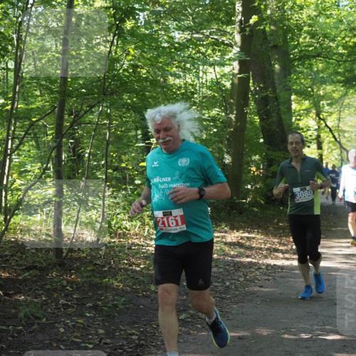 22.09.2024 - 32. Volkslauf durch das schöne Alstertal Miley Keyser http://msf.ph/oto/7135025 22.09.2024 10:50:49 Laufen 3080, 2161 meine-sportfotos.de