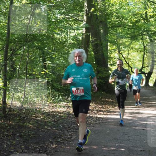 22.09.2024 - 32. Volkslauf durch das schöne Alstertal Miley Keyser http://msf.ph/oto/7135029 22.09.2024 10:50:49 Laufen 25, 3080, 2161 meine-sportfotos.de
