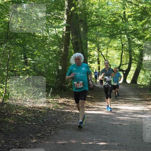 22.09.2024 - 32. Volkslauf durch das schöne Alstertal Miley Keyser http://msf.ph/oto/7135031 22.09.2024 10:50:48 Laufen 3080, 2161 meine-sportfotos.de