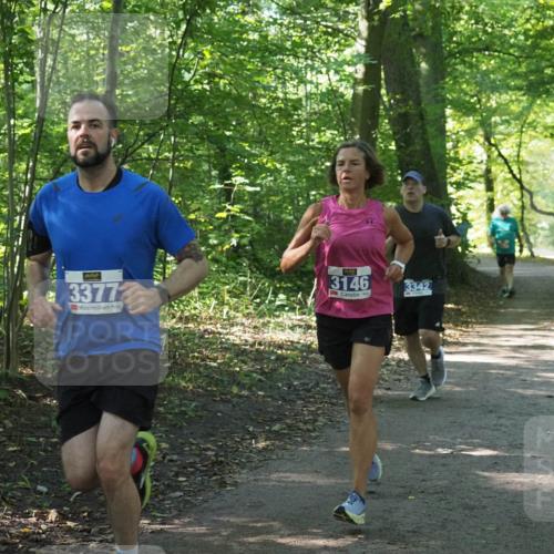 22.09.2024 - 32. Volkslauf durch das schöne Alstertal Miley Keyser http://msf.ph/oto/7135041 22.09.2024 10:50:40 Laufen 3377, 3146, 3342 meine-sportfotos.de