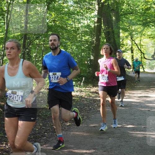22.09.2024 - 32. Volkslauf durch das schöne Alstertal Miley Keyser http://msf.ph/oto/7135044 22.09.2024 10:50:40 Laufen 3200, 3377, 3146, 3342 meine-sportfotos.de