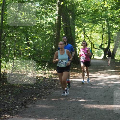 22.09.2024 - 32. Volkslauf durch das schöne Alstertal Miley Keyser http://msf.ph/oto/7135047 22.09.2024 10:50:39 Laufen 3200 meine-sportfotos.de
