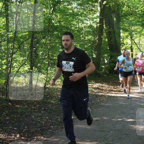 22.09.2024 - 32. Volkslauf durch das schöne Alstertal Miley Keyser http://msf.ph/oto/7135050 22.09.2024 10:50:37 Laufen 3962, 3200 meine-sportfotos.de