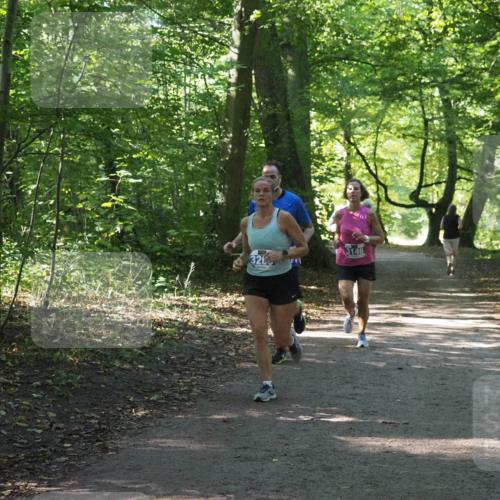 22.09.2024 - 32. Volkslauf durch das schöne Alstertal Miley Keyser http://msf.ph/oto/7135051 22.09.2024 10:50:38 Laufen 320, 3146 meine-sportfotos.de