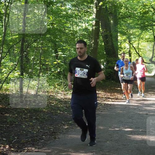 22.09.2024 - 32. Volkslauf durch das schöne Alstertal Miley Keyser http://msf.ph/oto/7135054 22.09.2024 10:50:37 Laufen 3962, 3200 meine-sportfotos.de