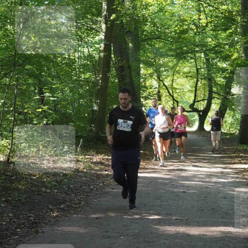 22.09.2024 - 32. Volkslauf durch das schöne Alstertal Miley Keyser http://msf.ph/oto/7135057 22.09.2024 10:50:36 Laufen 3962 meine-sportfotos.de