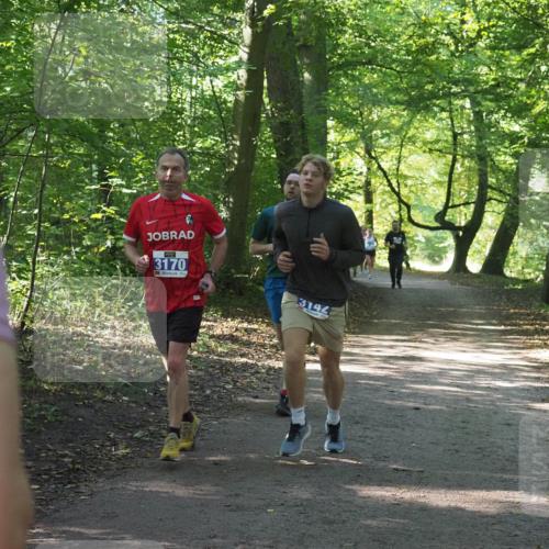22.09.2024 - 32. Volkslauf durch das schöne Alstertal Miley Keyser http://msf.ph/oto/7135060 22.09.2024 10:50:28 Laufen 2, 3170, 3142 meine-sportfotos.de
