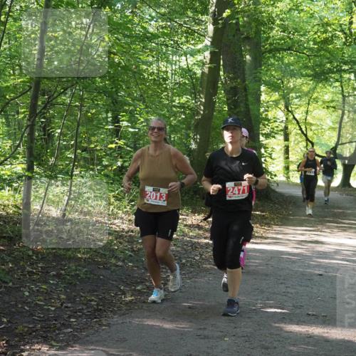 22.09.2024 - 32. Volkslauf durch das schöne Alstertal Miley Keyser http://msf.ph/oto/7135075 22.09.2024 10:50:22 Laufen 2013, 2471 meine-sportfotos.de