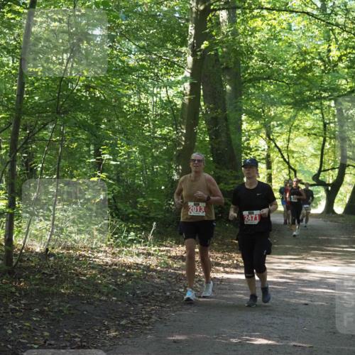 22.09.2024 - 32. Volkslauf durch das schöne Alstertal Miley Keyser http://msf.ph/oto/7135079 22.09.2024 10:50:21 Laufen 2013, 2471 meine-sportfotos.de