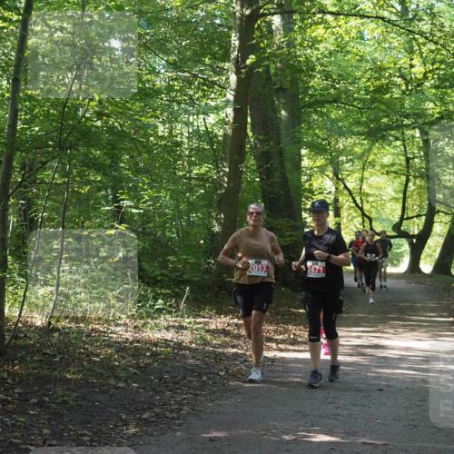 22.09.2024 - 32. Volkslauf durch das schöne Alstertal Miley Keyser http://msf.ph/oto/7135081 22.09.2024 10:50:20 Laufen 2013, 2471 meine-sportfotos.de