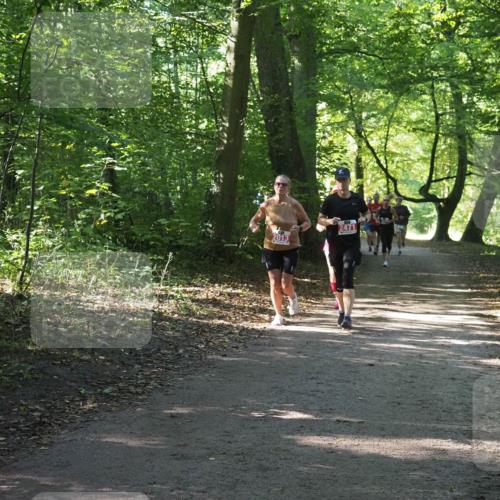 22.09.2024 - 32. Volkslauf durch das schöne Alstertal Miley Keyser http://msf.ph/oto/7135083 22.09.2024 10:50:19 Laufen 2013, 2471 meine-sportfotos.de