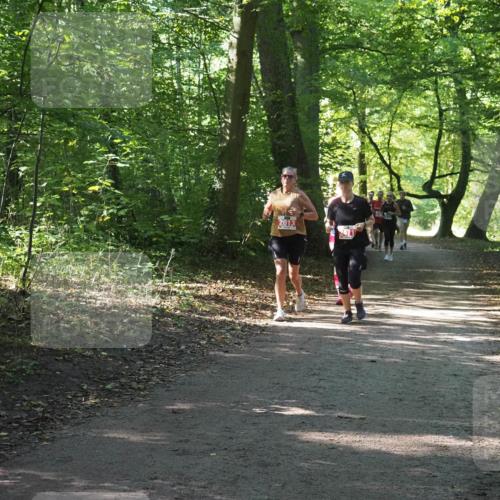 22.09.2024 - 32. Volkslauf durch das schöne Alstertal Miley Keyser http://msf.ph/oto/7135086 22.09.2024 10:50:19 Laufen 2013 meine-sportfotos.de