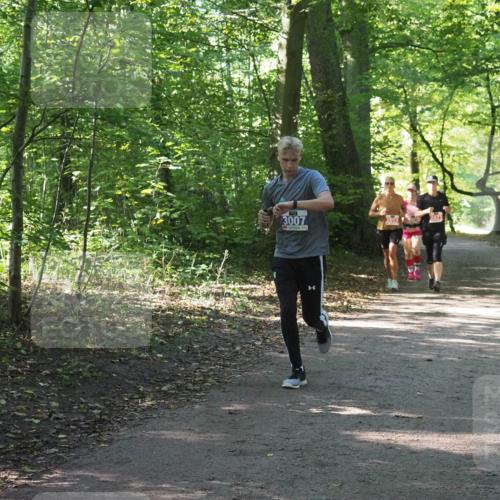 22.09.2024 - 32. Volkslauf durch das schöne Alstertal Miley Keyser http://msf.ph/oto/7135087 22.09.2024 10:50:17 Laufen 3007, 2013 meine-sportfotos.de