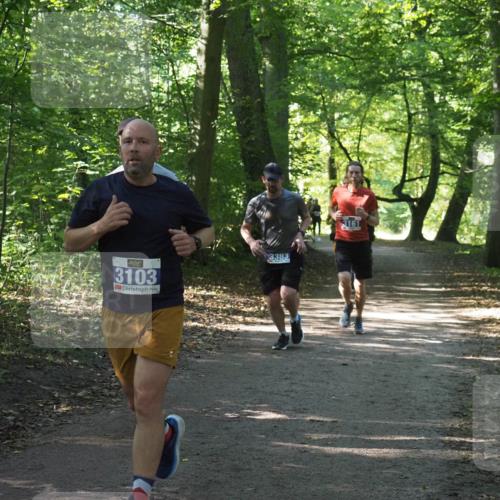 22.09.2024 - 32. Volkslauf durch das schöne Alstertal Miley Keyser http://msf.ph/oto/7135098 22.09.2024 10:50:14 Laufen 3103, 3383, 3161 meine-sportfotos.de