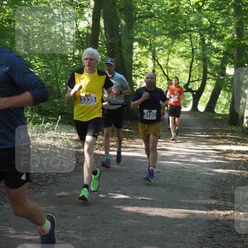 22.09.2024 - 32. Volkslauf durch das schöne Alstertal Miley Keyser http://msf.ph/oto/7135101 22.09.2024 10:50:13 Laufen 3154, 3335, 3103 meine-sportfotos.de