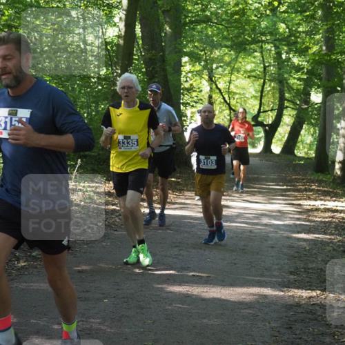 22.09.2024 - 32. Volkslauf durch das schöne Alstertal Miley Keyser http://msf.ph/oto/7135105 22.09.2024 10:50:13 Laufen 61, 315, 3335, 3103, 3161 meine-sportfotos.de