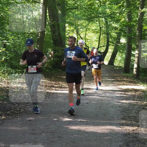 22.09.2024 - 32. Volkslauf durch das schöne Alstertal Miley Keyser http://msf.ph/oto/7135107 22.09.2024 10:50:11 Laufen 2261, 3154, 103 meine-sportfotos.de