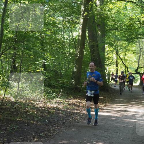 22.09.2024 - 32. Volkslauf durch das schöne Alstertal Miley Keyser http://msf.ph/oto/7135115 22.09.2024 10:50:04 Laufen 3317 meine-sportfotos.de