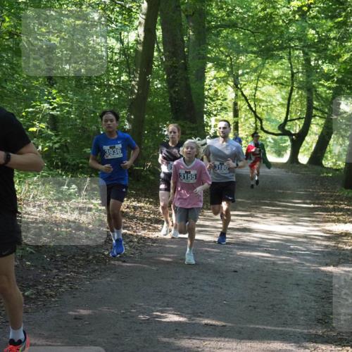 22.09.2024 - 32. Volkslauf durch das schöne Alstertal Miley Keyser http://msf.ph/oto/7135130 22.09.2024 10:49:55 Laufen 3351, 3936, 3155, 3180 meine-sportfotos.de