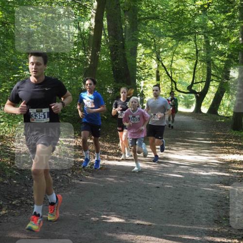 22.09.2024 - 32. Volkslauf durch das schöne Alstertal Miley Keyser http://msf.ph/oto/7135132 22.09.2024 10:49:54 Laufen 3351, 1, 3936, 318, 3180, 3155 meine-sportfotos.de