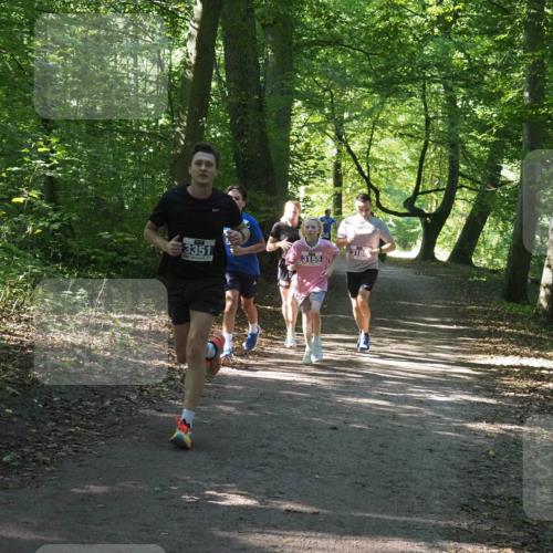 22.09.2024 - 32. Volkslauf durch das schöne Alstertal Miley Keyser http://msf.ph/oto/7135134 22.09.2024 10:49:54 Laufen 3351, 3180, 3155 meine-sportfotos.de