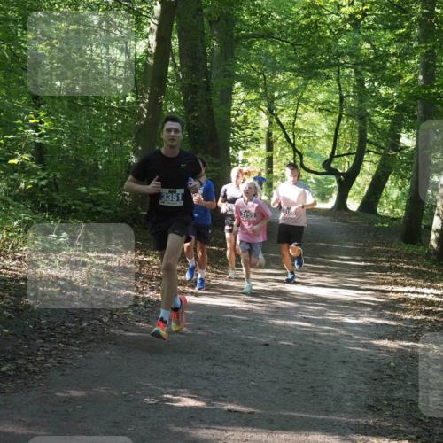 22.09.2024 - 32. Volkslauf durch das schöne Alstertal Miley Keyser http://msf.ph/oto/7135135 22.09.2024 10:49:54 Laufen 3351, 3180, 3155 meine-sportfotos.de