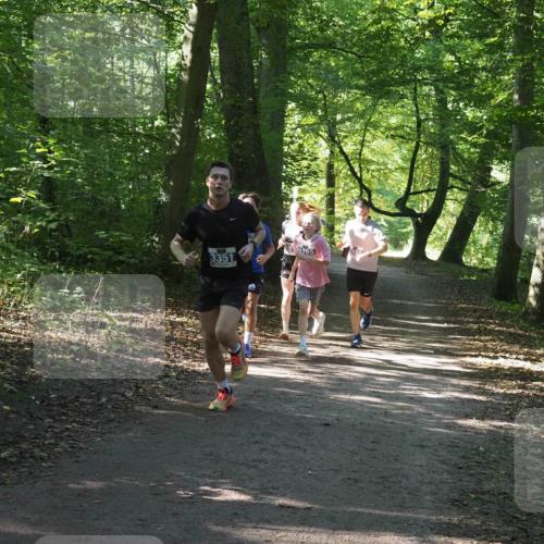 22.09.2024 - 32. Volkslauf durch das schöne Alstertal Miley Keyser http://msf.ph/oto/7135137 22.09.2024 10:49:54 Laufen 3351, 181, 3155 meine-sportfotos.de