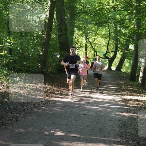 22.09.2024 - 32. Volkslauf durch das schöne Alstertal Miley Keyser http://msf.ph/oto/7135138 22.09.2024 10:49:53 Laufen 3351, 3155 meine-sportfotos.de