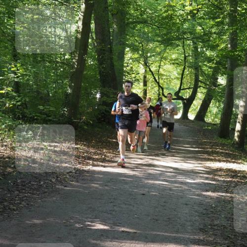 22.09.2024 - 32. Volkslauf durch das schöne Alstertal Miley Keyser http://msf.ph/oto/7135141 22.09.2024 10:49:53 Laufen 3351, 3180 meine-sportfotos.de
