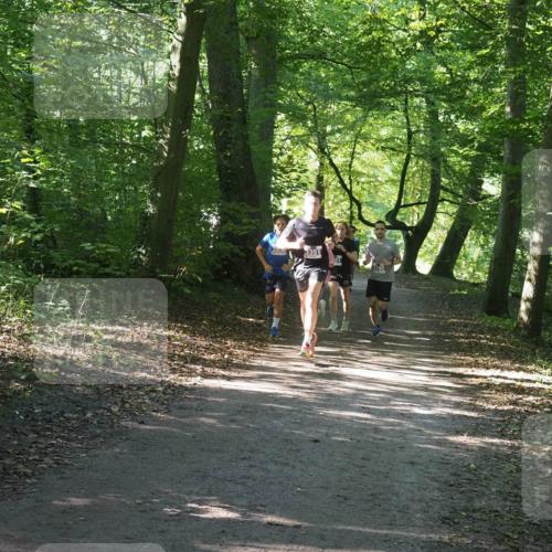22.09.2024 - 32. Volkslauf durch das schöne Alstertal Miley Keyser http://msf.ph/oto/7135143 22.09.2024 10:49:52 Laufen  meine-sportfotos.de