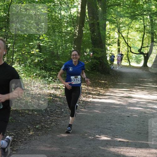 22.09.2024 - 32. Volkslauf durch das schöne Alstertal Miley Keyser http://msf.ph/oto/7135146 22.09.2024 10:49:44 Laufen  meine-sportfotos.de