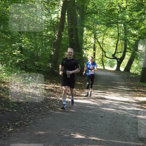 22.09.2024 - 32. Volkslauf durch das schöne Alstertal Miley Keyser http://msf.ph/oto/7135151 22.09.2024 10:49:42 Laufen 3329 meine-sportfotos.de