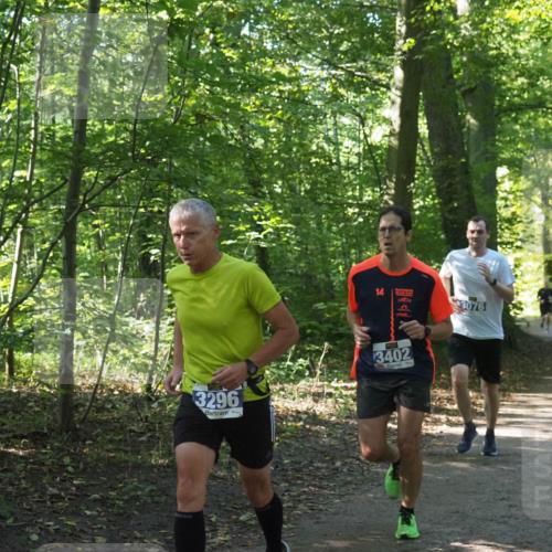 22.09.2024 - 32. Volkslauf durch das schöne Alstertal Miley Keyser http://msf.ph/oto/7135169 22.09.2024 10:49:32 Laufen 14, 3076, 3296, 3402 meine-sportfotos.de