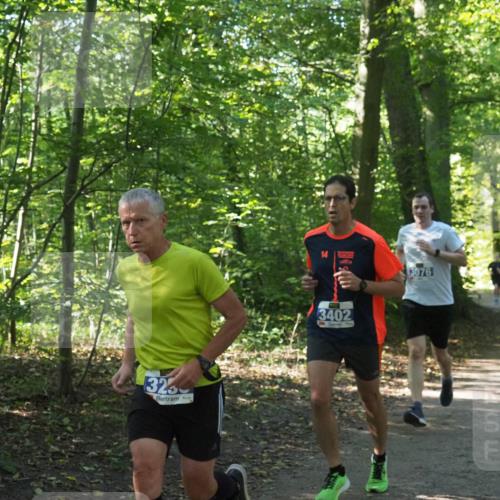 22.09.2024 - 32. Volkslauf durch das schöne Alstertal Miley Keyser http://msf.ph/oto/7135171 22.09.2024 10:49:32 Laufen 323, 3402, 3076 meine-sportfotos.de