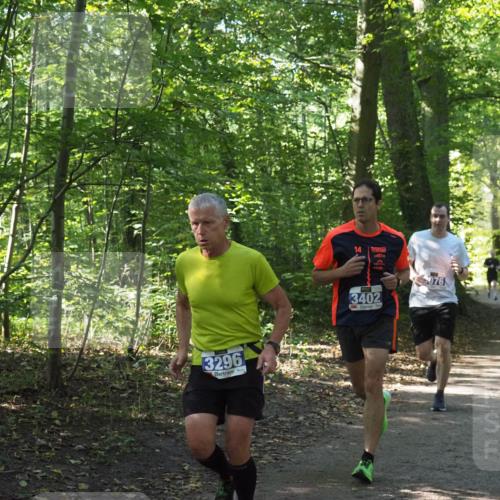 22.09.2024 - 32. Volkslauf durch das schöne Alstertal Miley Keyser http://msf.ph/oto/7135173 22.09.2024 10:49:32 Laufen 3296, 14, 3402, 076 meine-sportfotos.de