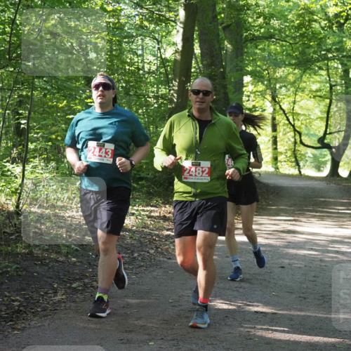 22.09.2024 - 32. Volkslauf durch das schöne Alstertal Miley Keyser http://msf.ph/oto/7135182 22.09.2024 10:49:15 Laufen 2443, 2482 meine-sportfotos.de